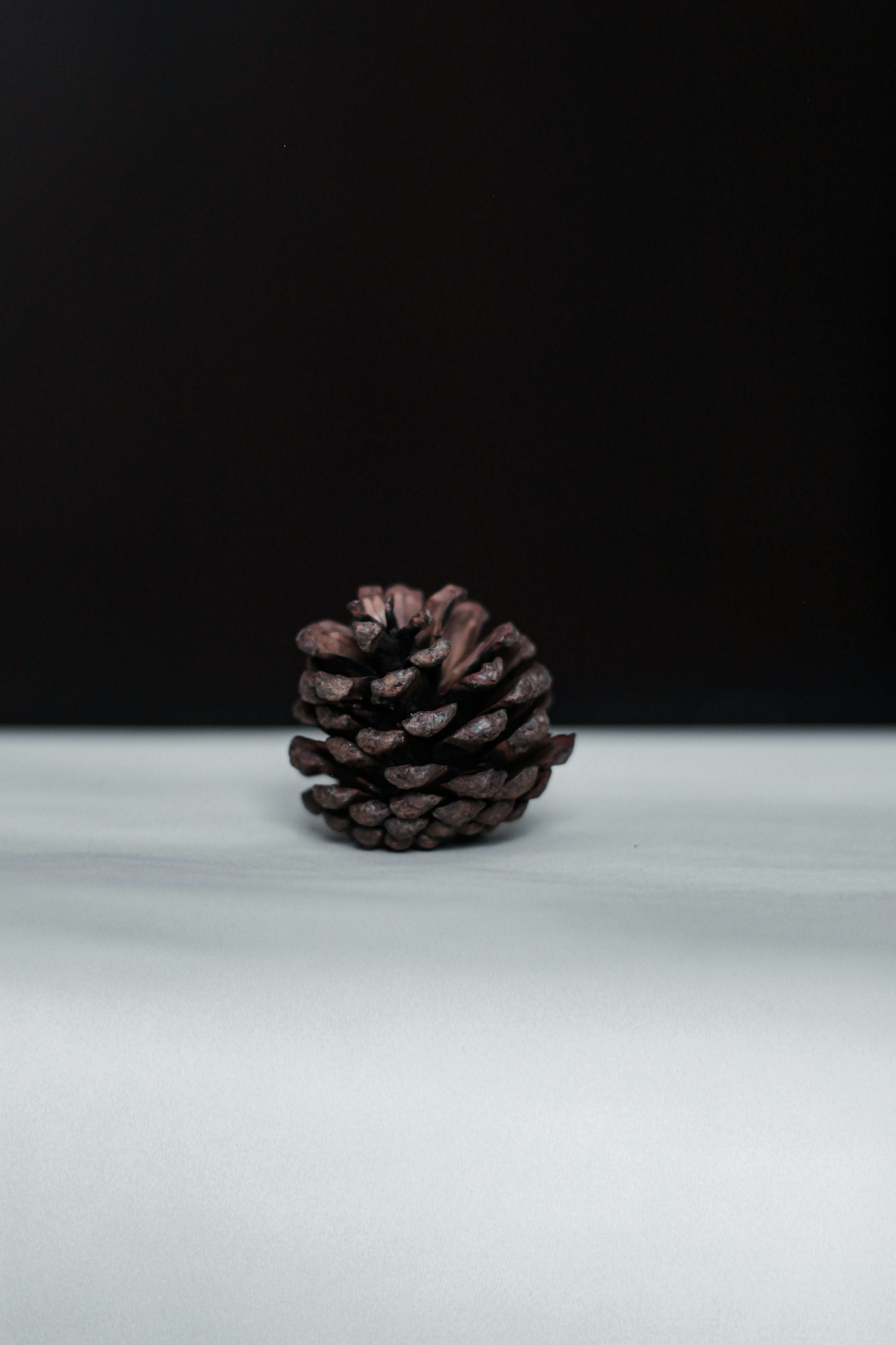 brown pine cone on white surface