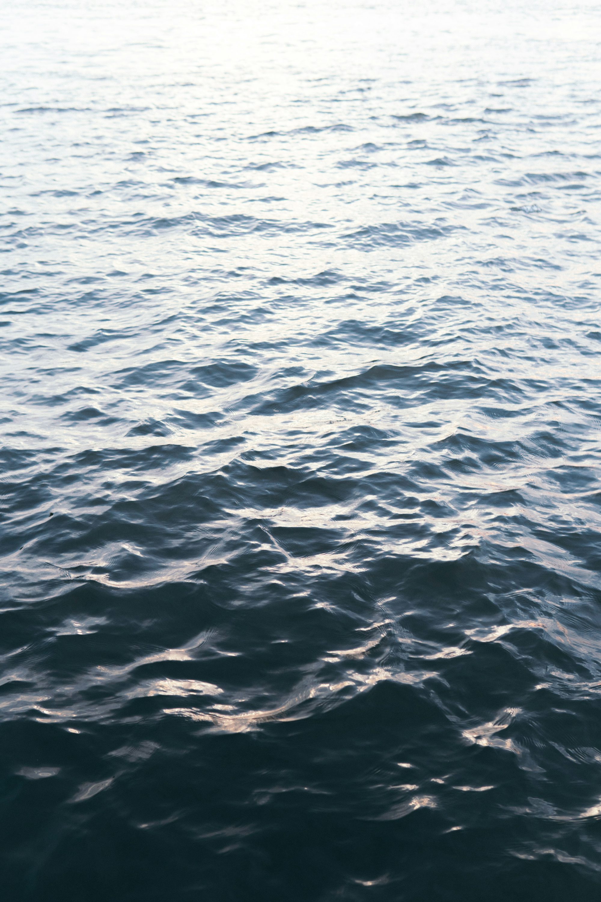 body of water during daytime