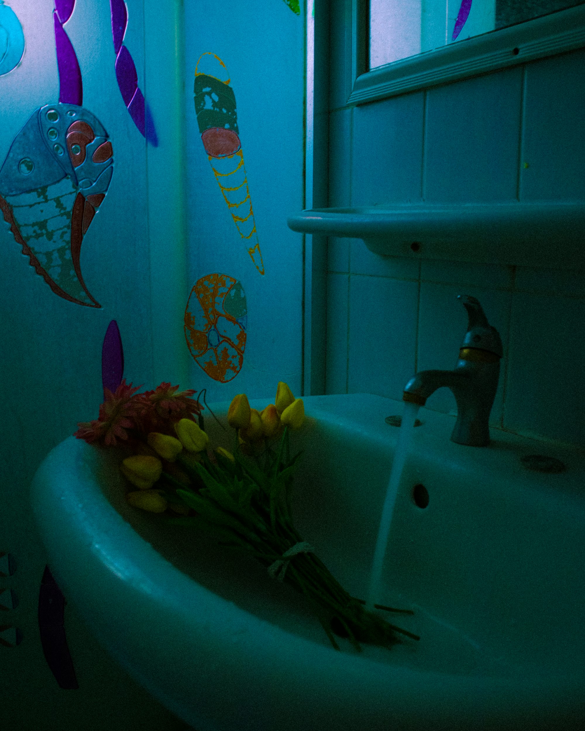 yellow and green flower on white ceramic sink